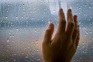 Camino de dolor, amor y renacimiento
